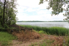 Big Swan Lake in Grey Eagle, MN. Photo: Jamie L. Manser