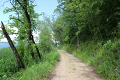 Dirt road wrapping around Big Swan Lake. Photo: Jamie L. Manser