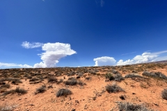 Horseshoe Bend_Jamie Manser, copyright 2022