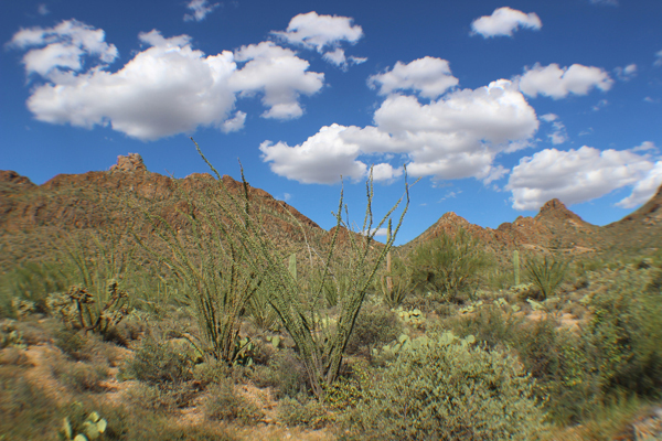 Tucson's Gates Pass. Photo: Jamie Manser