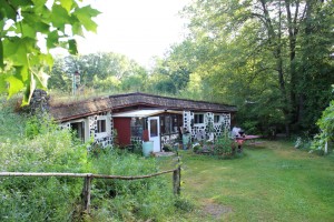 The 40 Acre Woods