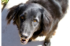 Annie 3_09