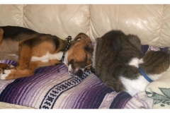 Merle and Floyd