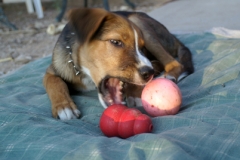 Mouth Wide Open