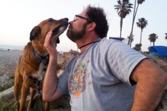 Dog-Beach1