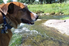 Merle in Pipestone Nat'l Monument.