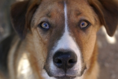 His eyes are so expressive.