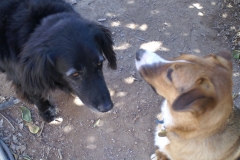Merle and Annie!