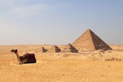 Camel-Pyramids-crop