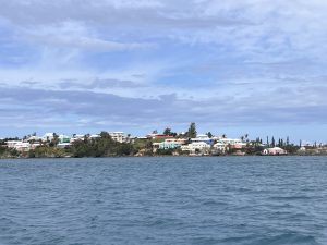Bermuda Whale Watching Excursion, 2026-03-11