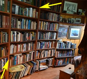 Living Room Books: Middle Right Bookshelf